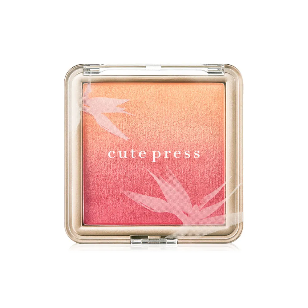 Cute Press Nonstop Beauty Ombre Blush - 02 /أحمر الخدود أومبري من كيوت بريس نون ستوب بيوتي - 02